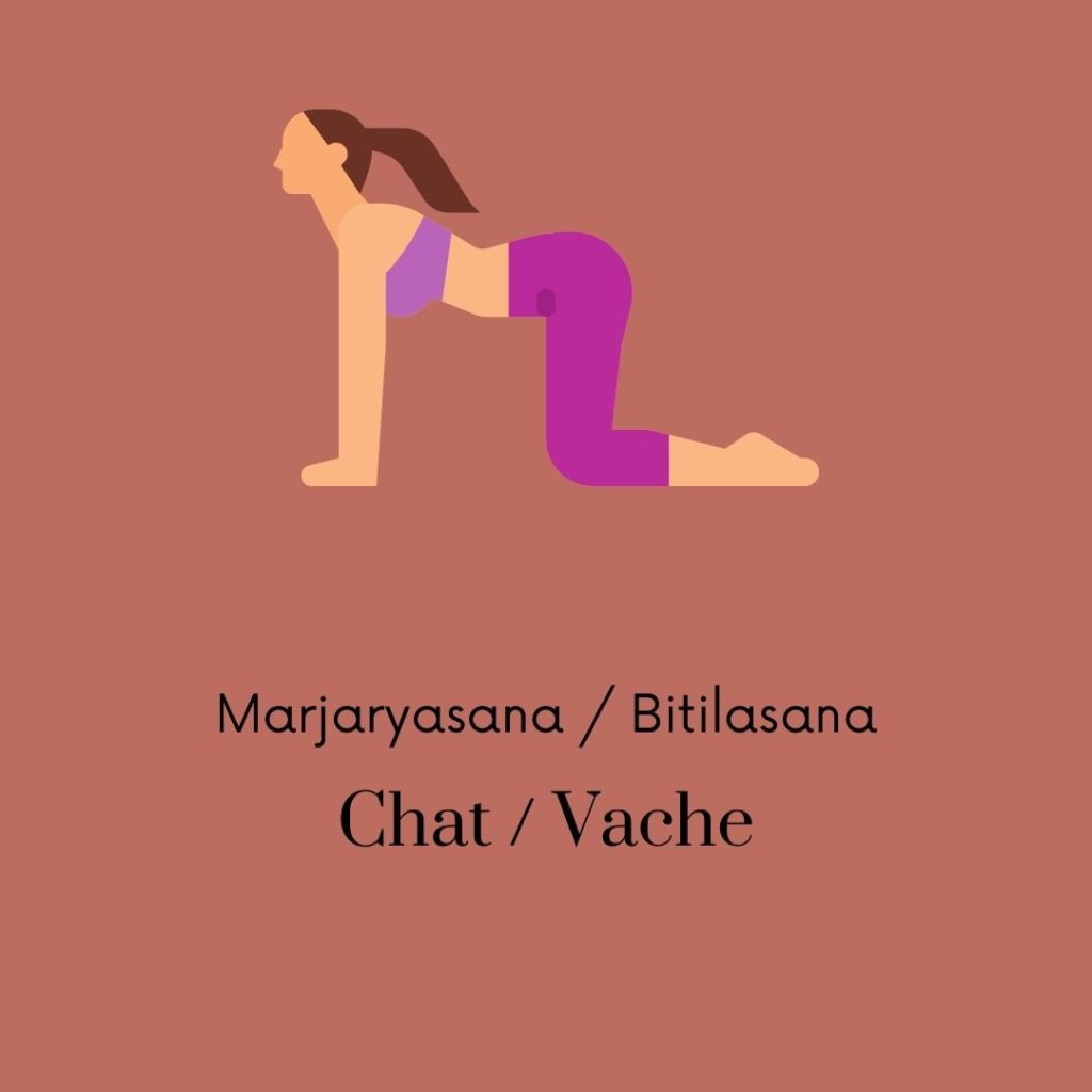 yoga-pour-bien-dormir-Chat-Vache