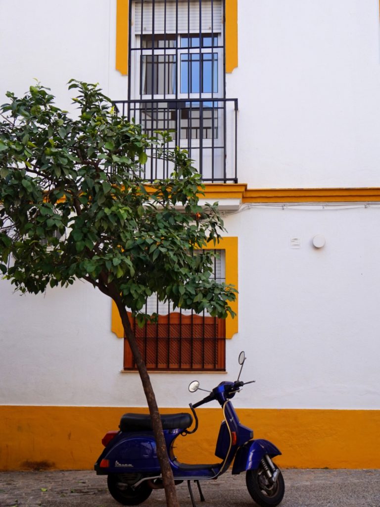 Seville-en-Janvier-5_