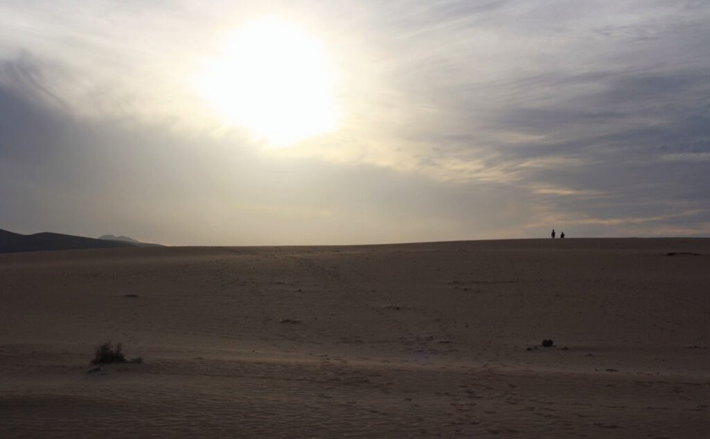 Que-faire-a-Fuerteventura-Dunes-1