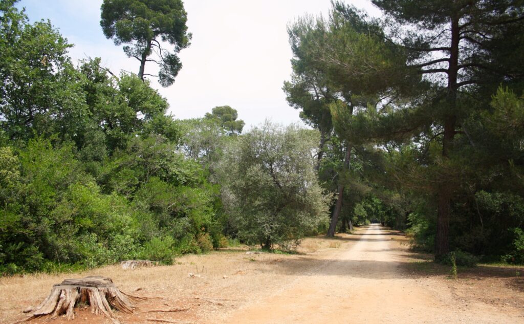 les-Iles-de-lesrins_6