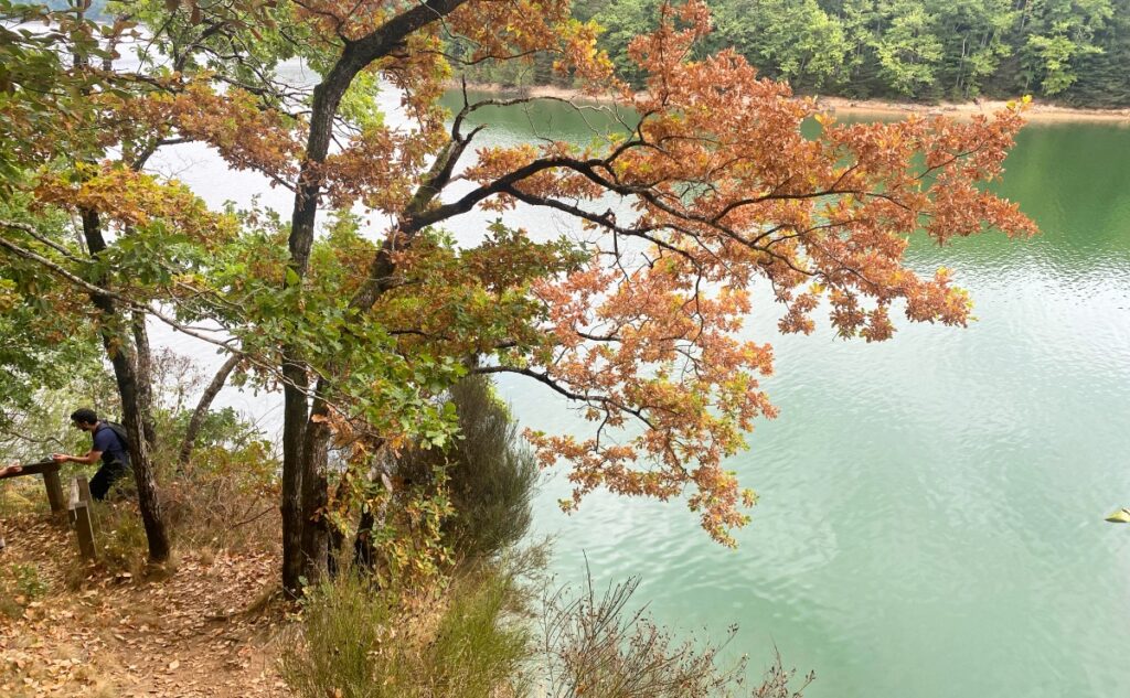 Lac-saint-etienne-cantales-10