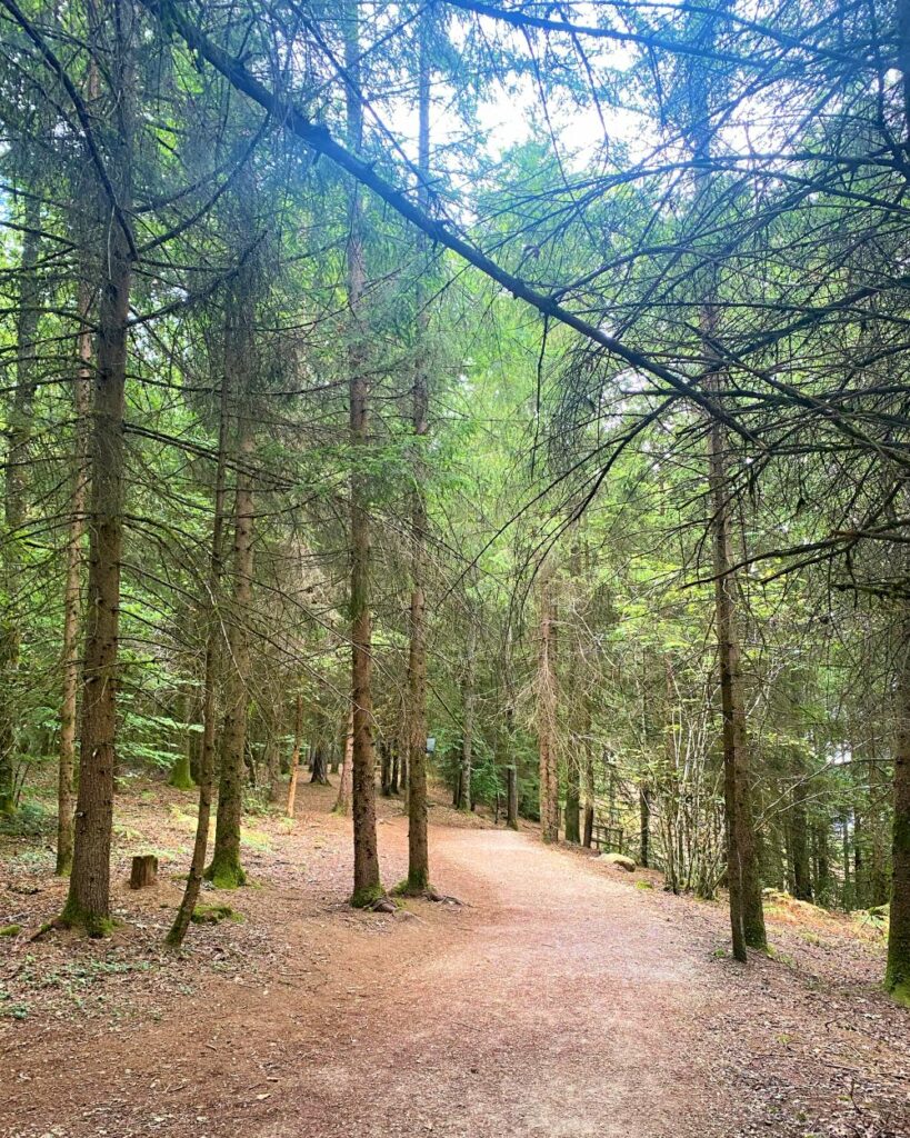 Lac-saint-etienne-cantales-2