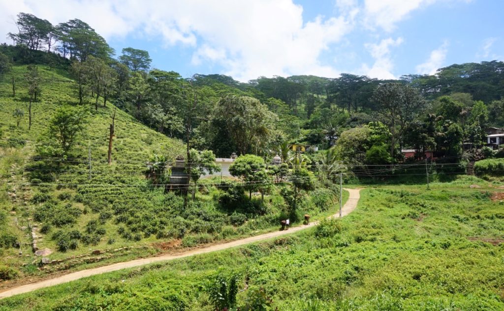 10-jours-au-sri-lanka-10-1024x632-1