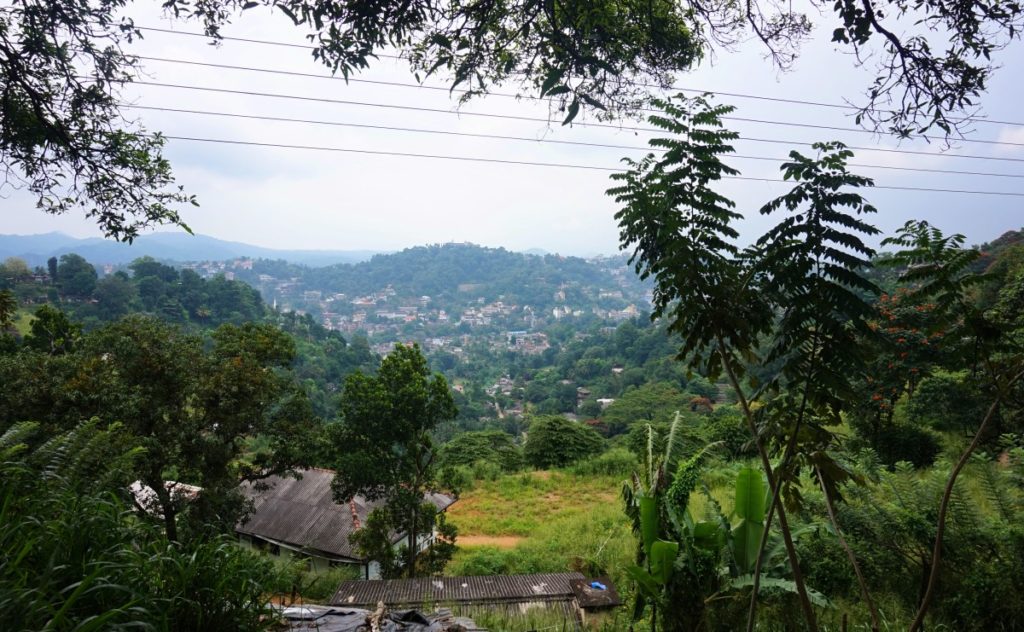 10-jours-au-sri-lanka-5-1024x632-1