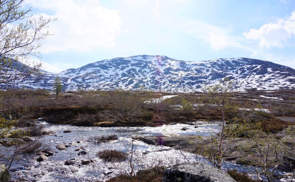 randonnee-de-trolltunga-4
