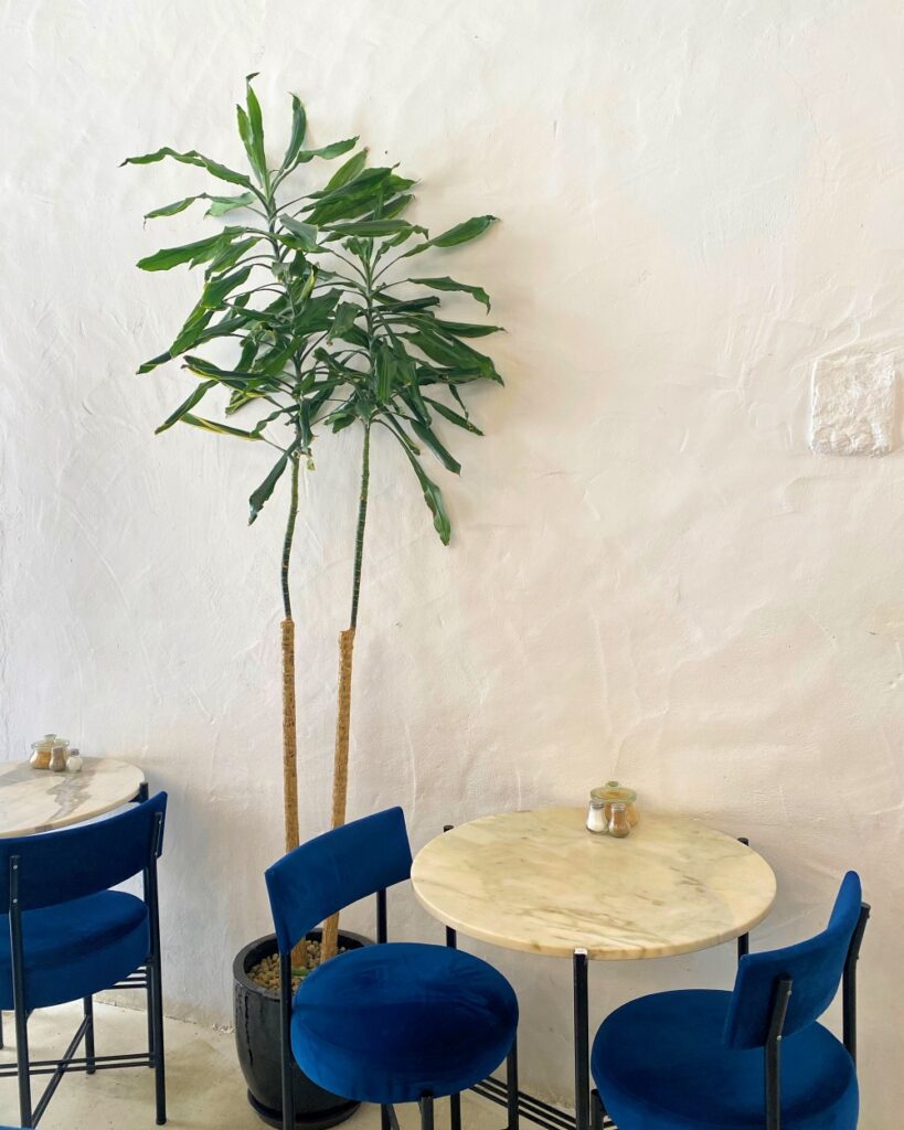 bruncher-a-lisbonne-dear-breakfast