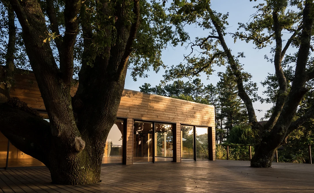 retraite-de-yoga-en-europe