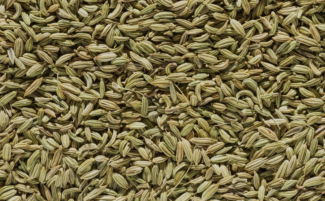 plantes-pour-aider-a-la-digestion