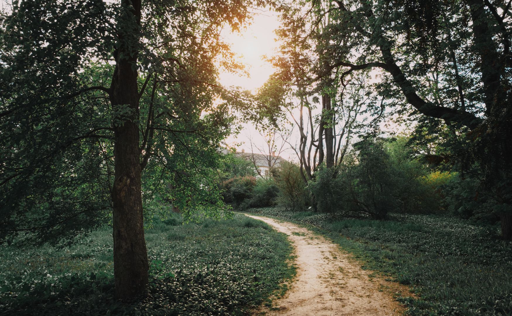 marcher-pour-réguler- son-systeme-nerveux